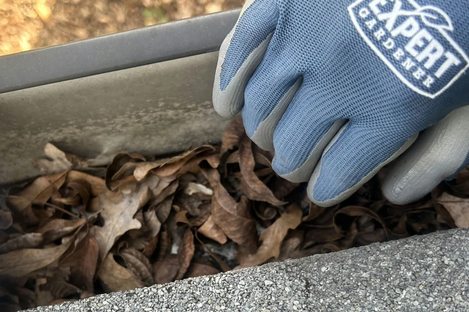 Gutter Cleaning Oak Lawn