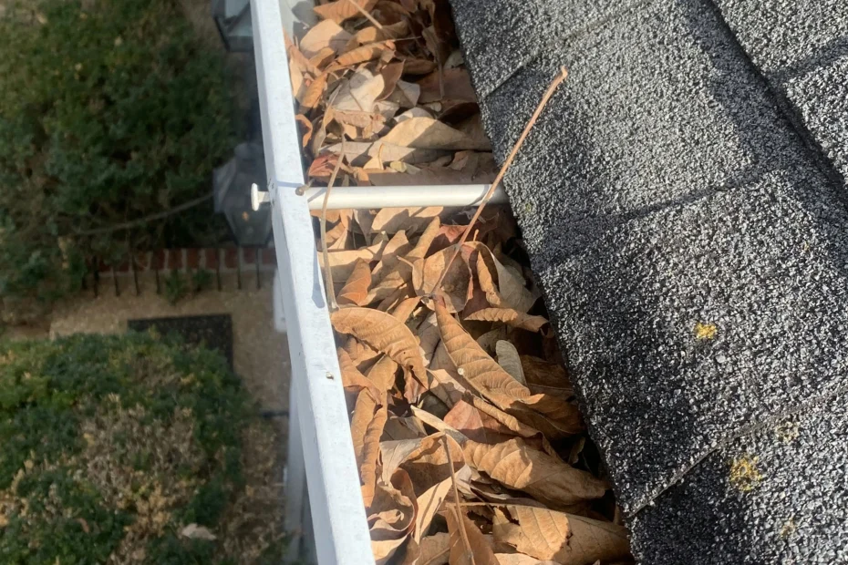 Gutter Cleaning Oak Lawn