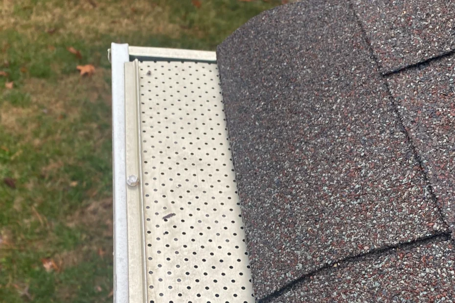 Gutter Cleaning Oak Lawn